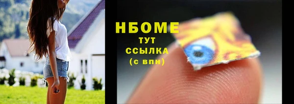 амф Каменка
