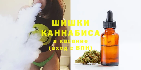 винт Карпинск