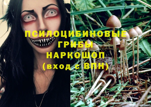 винт Карпинск