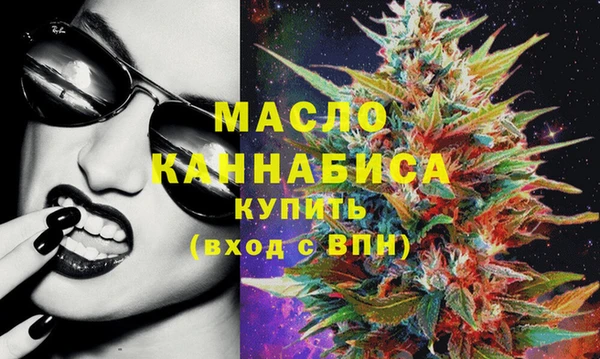 амф Каменка