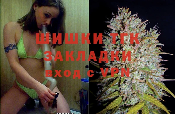 винт Карпинск